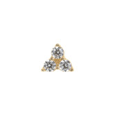 Piercing CYTISUM ALBA