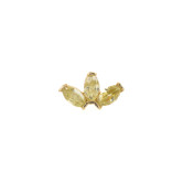 Piercing MUVA CITRINO