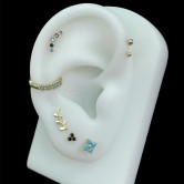 Piercing NATURA