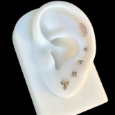 Pendientes VERA