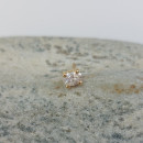 Pendientes DANIELA BLANCO